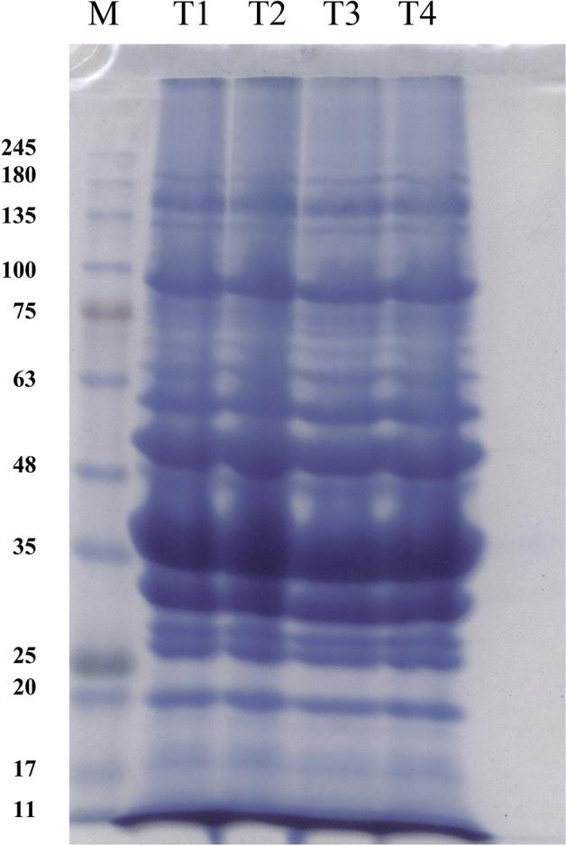 https://cdn.ncbi.nlm.nih.gov/pmc/blobs/ecc5/11836462/90866df253f2/41598_2025_88900_Fig2_HTML.jpg
