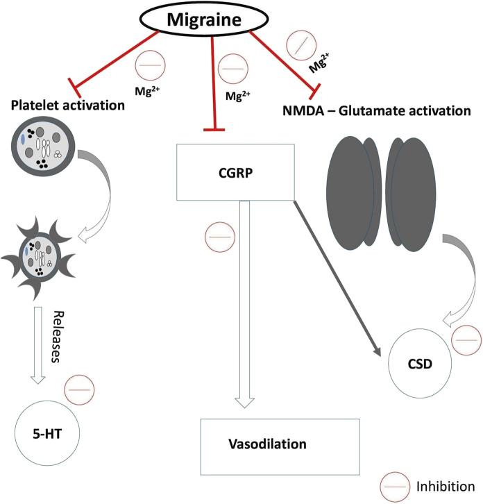 https://cdn.ncbi.nlm.nih.gov/pmc/blobs/ecc6/8249833/b292bc51f785/10534_2021_328_Fig4_HTML.jpg