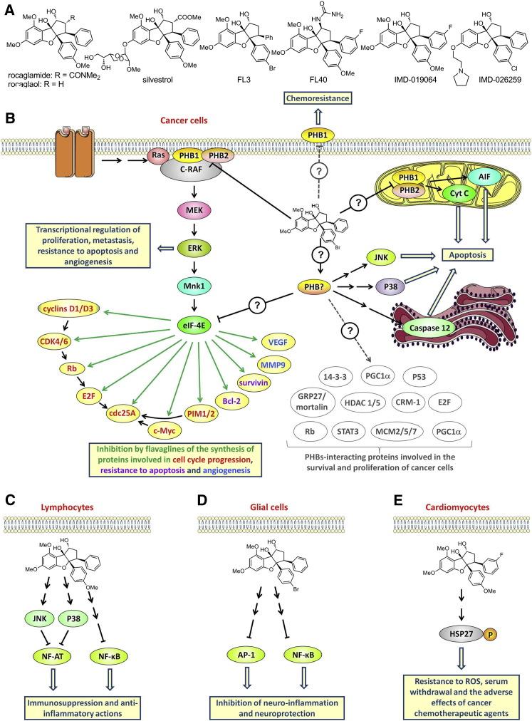 https://cdn.ncbi.nlm.nih.gov/pmc/blobs/ecc7/7111013/01151b64b1b7/gr3_lrg.jpg
