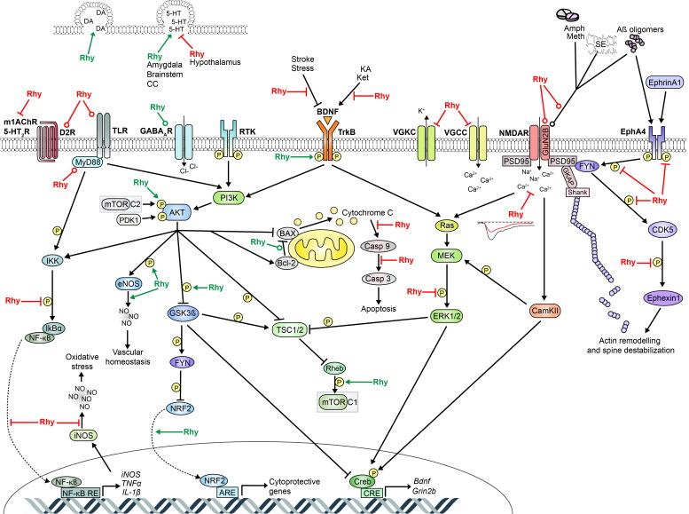https://cdn.ncbi.nlm.nih.gov/pmc/blobs/ecc7/8293156/09515f731124/clockssleep-03-00020-g002.jpg