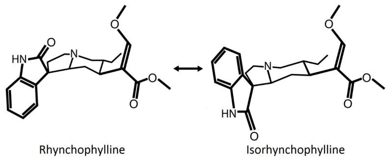 https://cdn.ncbi.nlm.nih.gov/pmc/blobs/ecc7/8293156/5f5e5f57a9c3/clockssleep-03-00020-g001.jpg