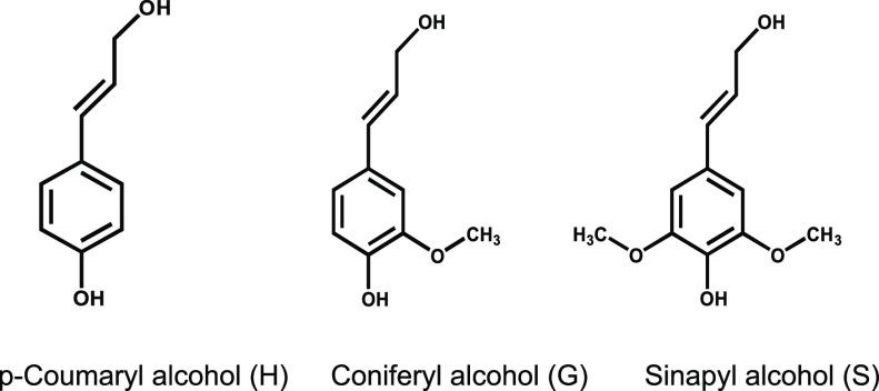 https://cdn.ncbi.nlm.nih.gov/pmc/blobs/ecc7/9178751/e8284f32c604/ao2c01812_0006.jpg