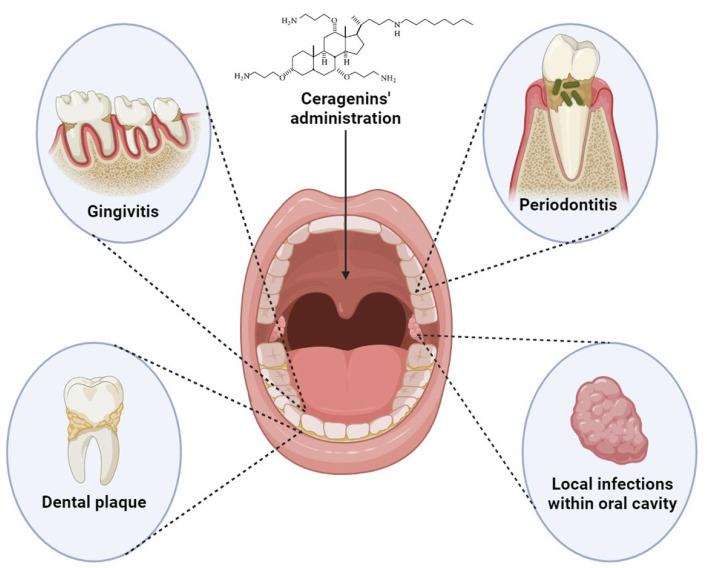 https://cdn.ncbi.nlm.nih.gov/pmc/blobs/ecc8/11678171/295e00624cd6/pharmaceuticals-17-01725-g002.jpg