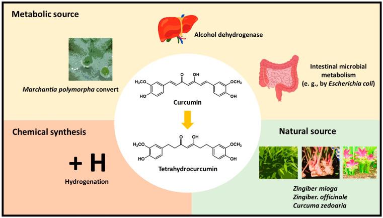 https://cdn.ncbi.nlm.nih.gov/pmc/blobs/ecca/7356876/837473bbcfde/biomolecules-10-00831-g001.jpg
