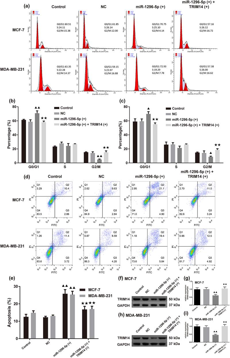 https://cdn.ncbi.nlm.nih.gov/pmc/blobs/eccb/11141472/98cb8d027015/KCBT_A_2360768_F0006_OC.jpg