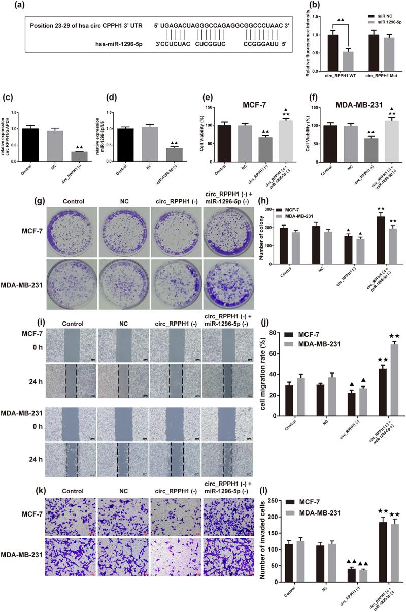https://cdn.ncbi.nlm.nih.gov/pmc/blobs/eccb/11141472/d5510ee0ce7f/KCBT_A_2360768_F0003_OC.jpg