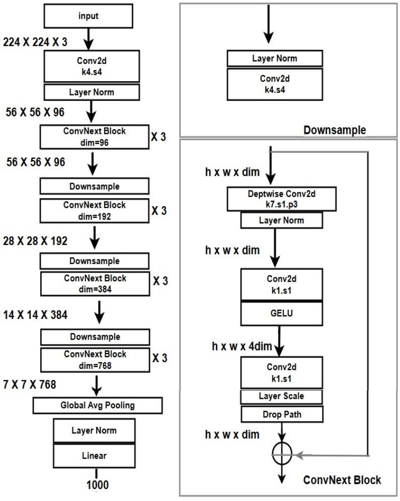 https://cdn.ncbi.nlm.nih.gov/pmc/blobs/eccf/12025319/0afea04ba095/bioengineering-12-00369-g003.jpg