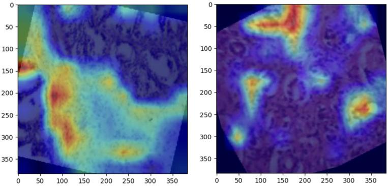 https://cdn.ncbi.nlm.nih.gov/pmc/blobs/eccf/12025319/904e226cfccc/bioengineering-12-00369-g007.jpg