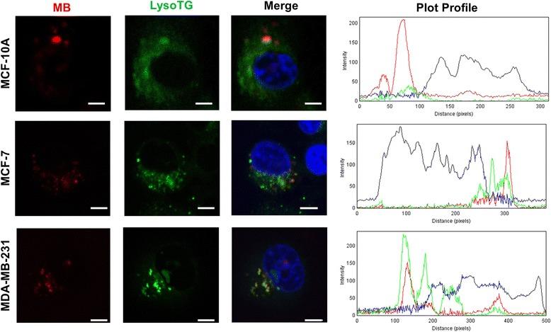 https://cdn.ncbi.nlm.nih.gov/pmc/blobs/ecd0/5353937/fb1a53173da6/12885_2017_3179_Fig5_HTML.jpg