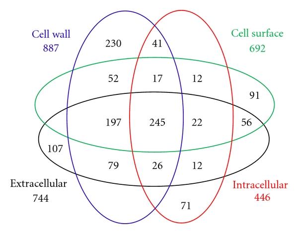 https://cdn.ncbi.nlm.nih.gov/pmc/blobs/ecd3/3237022/4da367e72b44/JBB2011-701928.001.jpg
