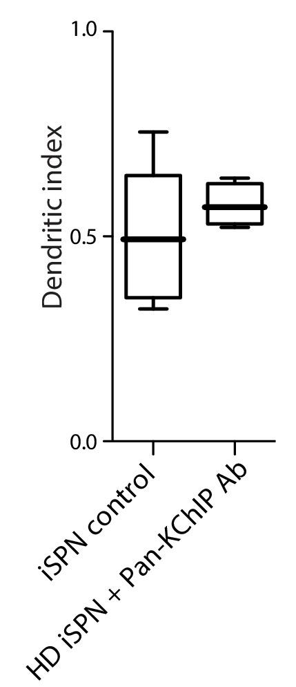https://cdn.ncbi.nlm.nih.gov/pmc/blobs/ecd3/6481990/663923548481/elife-40818-fig3-figsupp3.jpg