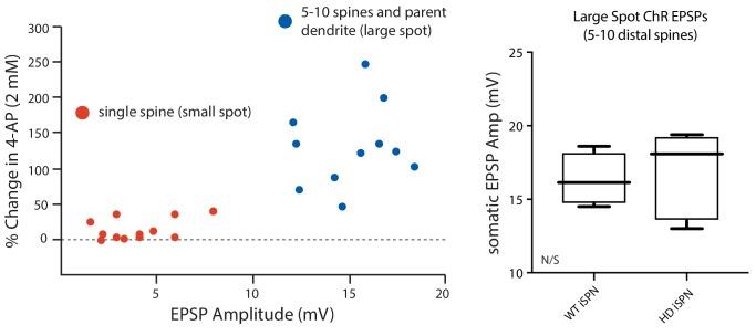 https://cdn.ncbi.nlm.nih.gov/pmc/blobs/ecd3/6481990/898f2dc0781b/elife-40818-fig2-figsupp2.jpg