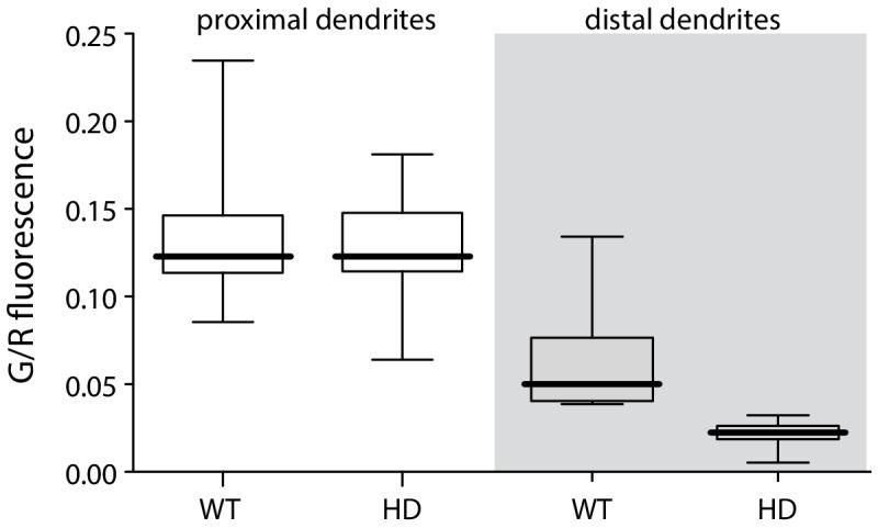 https://cdn.ncbi.nlm.nih.gov/pmc/blobs/ecd3/6481990/9aabed95336c/elife-40818-fig1-figsupp1.jpg