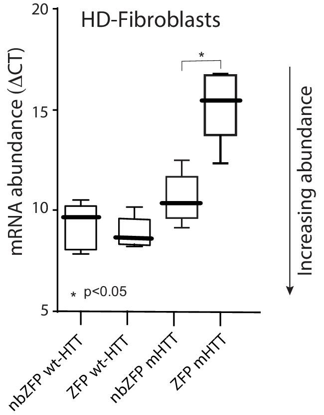 https://cdn.ncbi.nlm.nih.gov/pmc/blobs/ecd3/6481990/f22c17b7bd41/elife-40818-fig6-figsupp1.jpg
