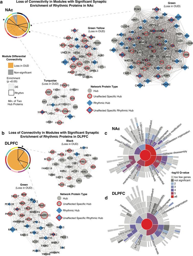 https://cdn.ncbi.nlm.nih.gov/pmc/blobs/ecd4/10914630/d3abea089538/41380_2023_2241_Fig6_HTML.jpg