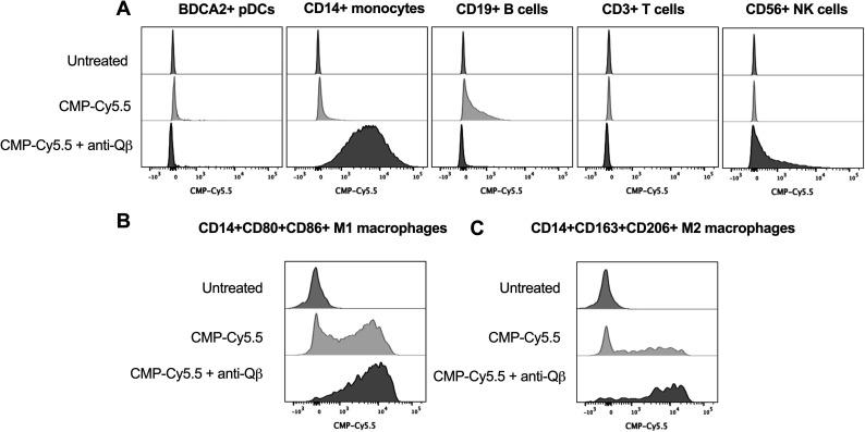https://cdn.ncbi.nlm.nih.gov/pmc/blobs/ecd9/8183212/b075c469d72a/jitc-2021-002484f01.jpg