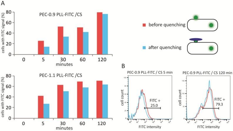 https://cdn.ncbi.nlm.nih.gov/pmc/blobs/ecdc/6027445/00399201bf0f/nanomaterials-08-00358-g003.jpg