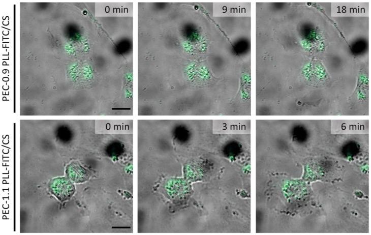 https://cdn.ncbi.nlm.nih.gov/pmc/blobs/ecdc/6027445/5ec4f768256b/nanomaterials-08-00358-g006.jpg