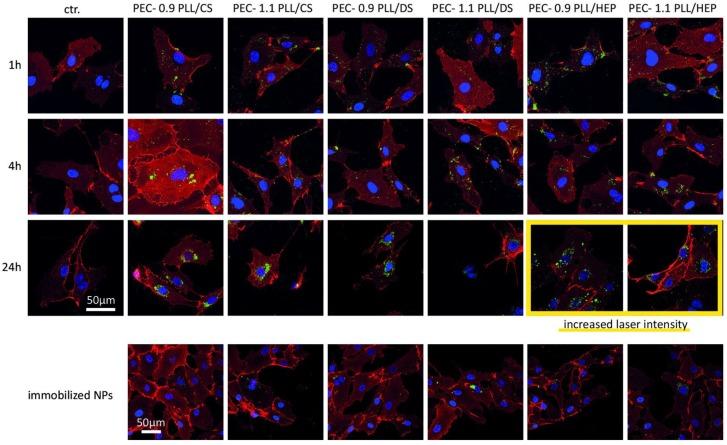 https://cdn.ncbi.nlm.nih.gov/pmc/blobs/ecdc/6027445/ffc4923987ab/nanomaterials-08-00358-g004.jpg