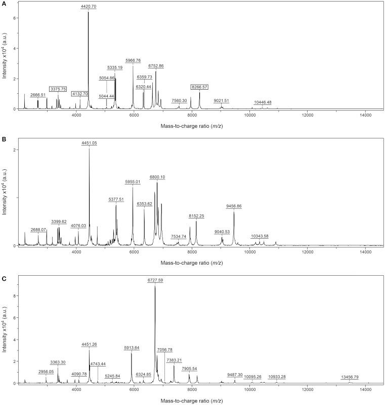 https://cdn.ncbi.nlm.nih.gov/pmc/blobs/ecde/4543777/16c4f225dca0/fpubh-03-00202-g001.jpg