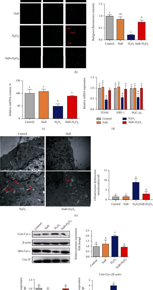 https://cdn.ncbi.nlm.nih.gov/pmc/blobs/ece2/8817854/364aa910b9be/OMCL2022-3745135.002.jpg