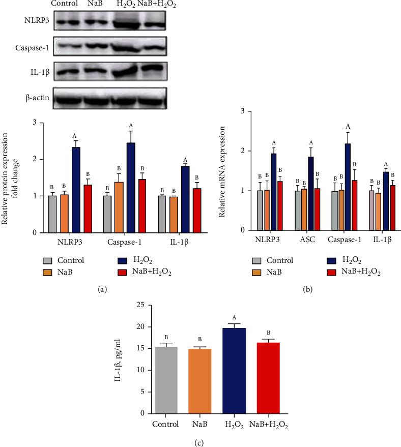 https://cdn.ncbi.nlm.nih.gov/pmc/blobs/ece2/8817854/c4ccf28ebd2b/OMCL2022-3745135.003.jpg