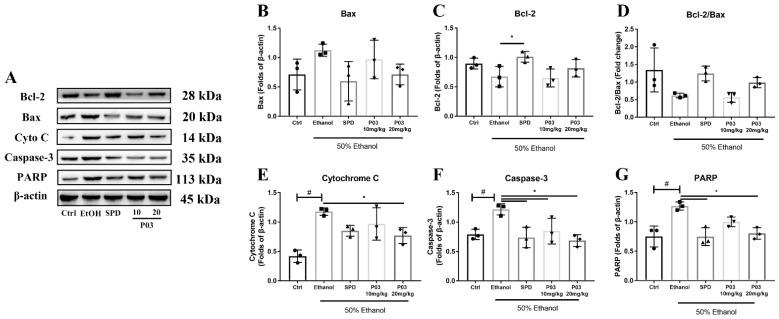 https://cdn.ncbi.nlm.nih.gov/pmc/blobs/ece2/9503860/fd21ad548d03/molecules-27-05839-g008.jpg