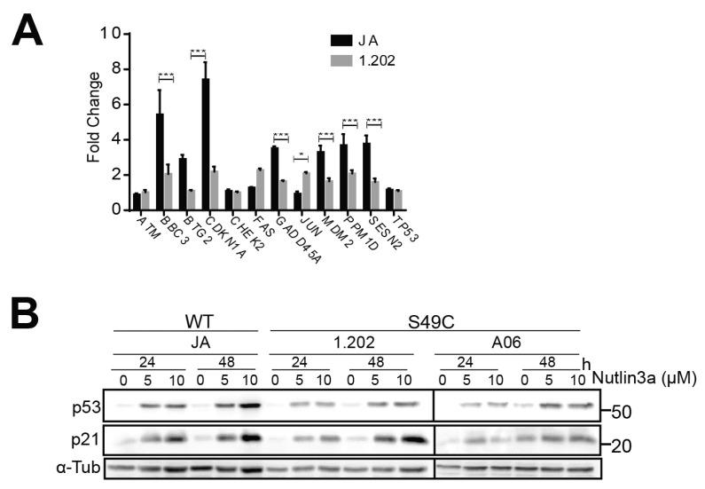 https://cdn.ncbi.nlm.nih.gov/pmc/blobs/ece3/10855307/cfddb2b715eb/ijms-25-01664-g003.jpg