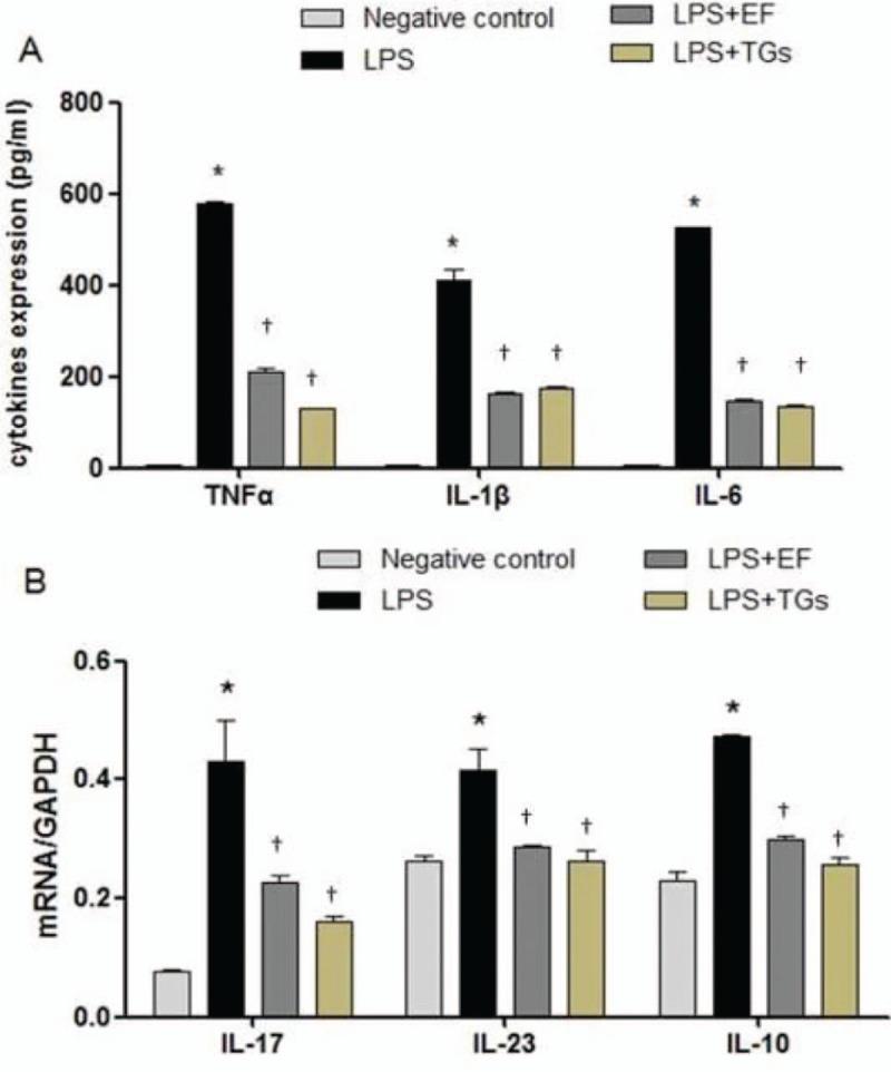 https://cdn.ncbi.nlm.nih.gov/pmc/blobs/ece3/6595819/9dae784746f3/cm9-132-319-g003.jpg
