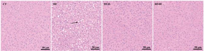 https://cdn.ncbi.nlm.nih.gov/pmc/blobs/ece3/9180133/1a71080cb429/FNR-66-7974-g001.jpg