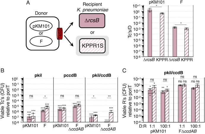 https://cdn.ncbi.nlm.nih.gov/pmc/blobs/ece6/12288468/30d37f7107b1/jb.00168-25.f005.jpg