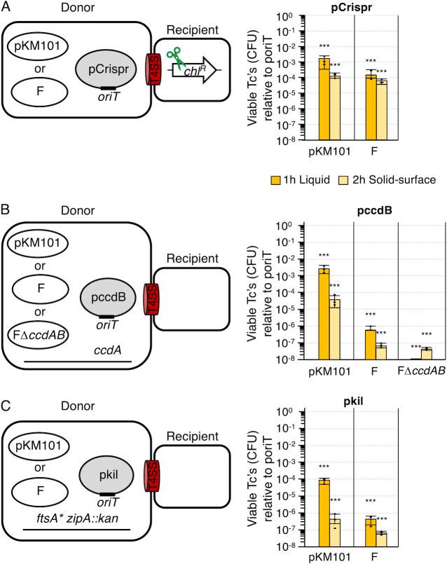 https://cdn.ncbi.nlm.nih.gov/pmc/blobs/ece6/12288468/52490b9d0fd6/jb.00168-25.f001.jpg