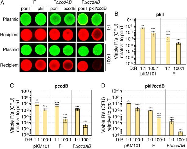 https://cdn.ncbi.nlm.nih.gov/pmc/blobs/ece6/12288468/e98150c8619b/jb.00168-25.f003.jpg