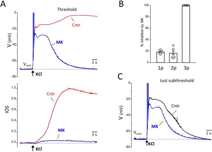 https://cdn.ncbi.nlm.nih.gov/pmc/blobs/ece8/10408042/062c47723a8d/10194_2023_1643_Fig2_HTML.jpg