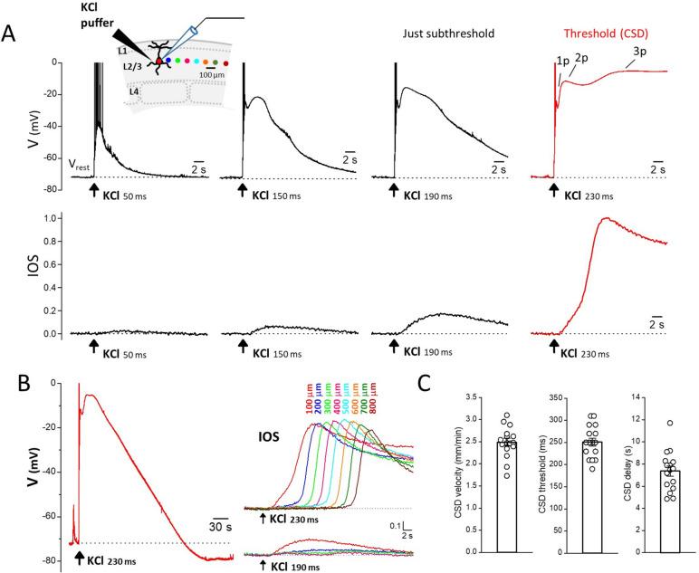 https://cdn.ncbi.nlm.nih.gov/pmc/blobs/ece8/10408042/17845f2cb40d/10194_2023_1643_Fig1_HTML.jpg