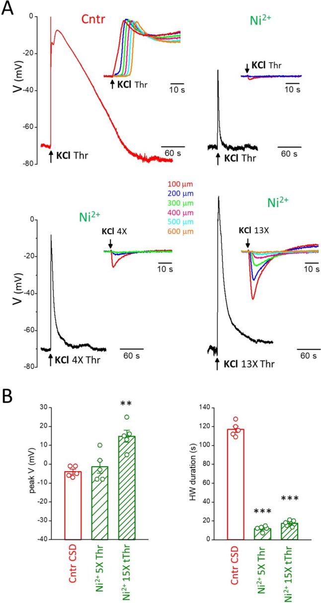 https://cdn.ncbi.nlm.nih.gov/pmc/blobs/ece8/10408042/57e2ce84e718/10194_2023_1643_Fig6_HTML.jpg