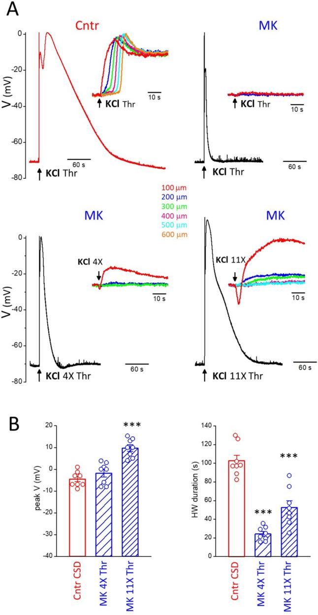 https://cdn.ncbi.nlm.nih.gov/pmc/blobs/ece8/10408042/687baae2edac/10194_2023_1643_Fig4_HTML.jpg