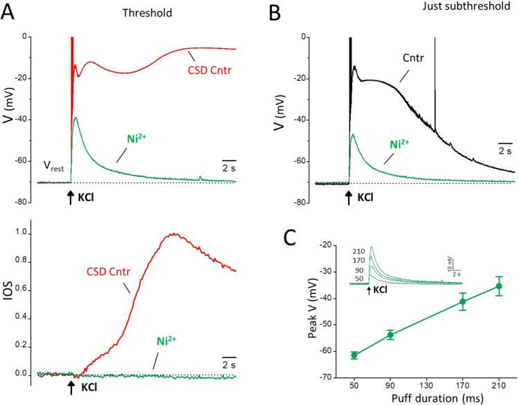 https://cdn.ncbi.nlm.nih.gov/pmc/blobs/ece8/10408042/a87bcf8733ae/10194_2023_1643_Fig5_HTML.jpg