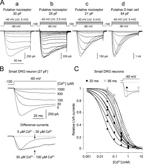 https://cdn.ncbi.nlm.nih.gov/pmc/blobs/eceb/2151607/62f6e699a955/jgp1290057f01.jpg