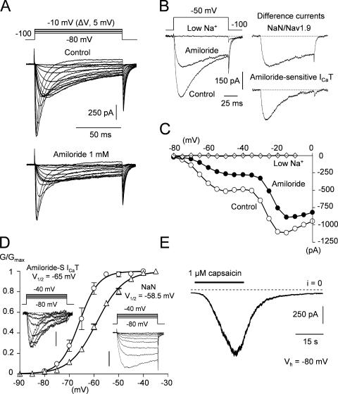 https://cdn.ncbi.nlm.nih.gov/pmc/blobs/eceb/2151607/74262e49f21c/jgp1290057f06.jpg