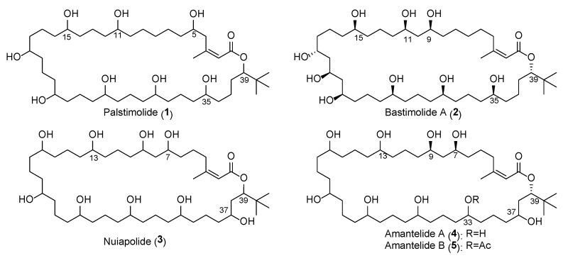 https://cdn.ncbi.nlm.nih.gov/pmc/blobs/eceb/7180531/1e75902be319/molecules-25-01604-g001.jpg