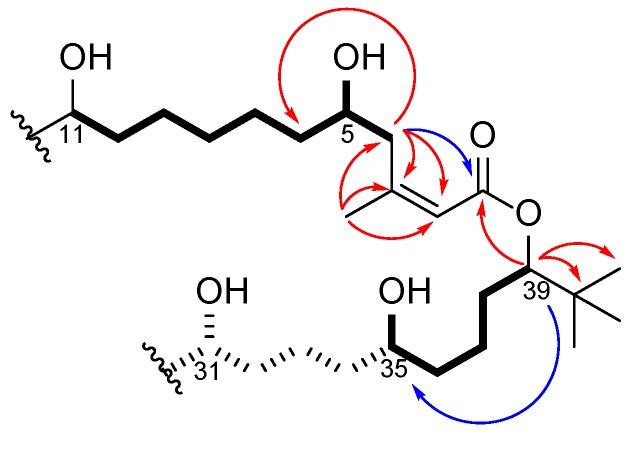 https://cdn.ncbi.nlm.nih.gov/pmc/blobs/eceb/7180531/bd644eed781f/molecules-25-01604-g002.jpg