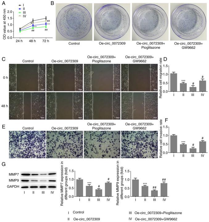 https://cdn.ncbi.nlm.nih.gov/pmc/blobs/eceb/7974328/7e132d1407a6/mmr-23-05-11988-g03.jpg