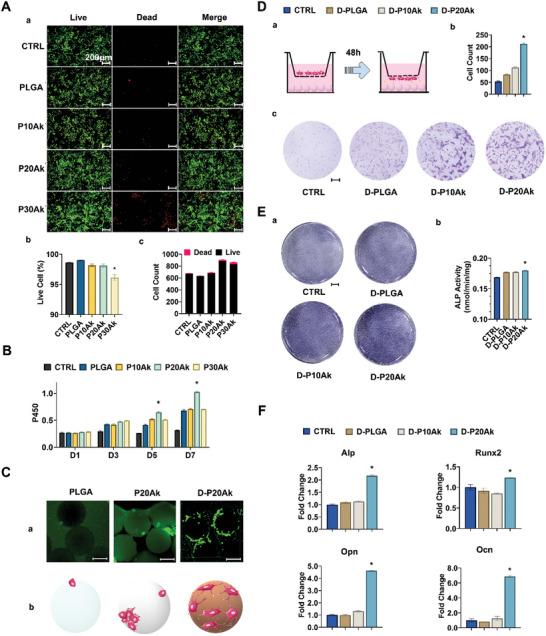 https://cdn.ncbi.nlm.nih.gov/pmc/blobs/ecee/11321702/357df7b05bae/ADVS-11-2400242-g006.jpg