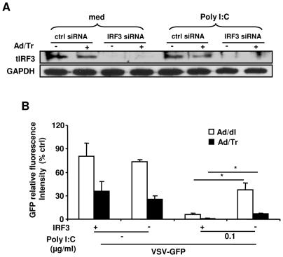 https://cdn.ncbi.nlm.nih.gov/pmc/blobs/ecef/3335805/8228a2afec09/pone.0035866.g007.jpg