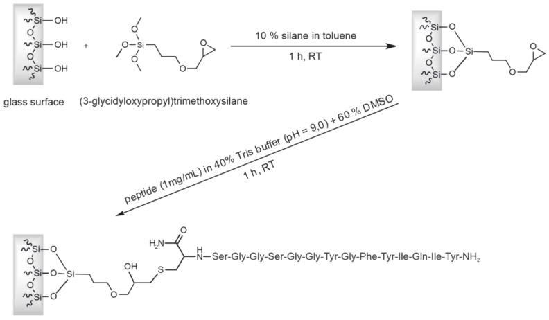 https://cdn.ncbi.nlm.nih.gov/pmc/blobs/ecf0/10051510/43358eadc1c8/viruses-15-00697-g005.jpg