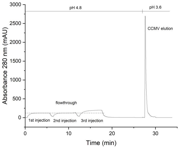https://cdn.ncbi.nlm.nih.gov/pmc/blobs/ecf0/10051510/53ac0068a05b/viruses-15-00697-g006.jpg