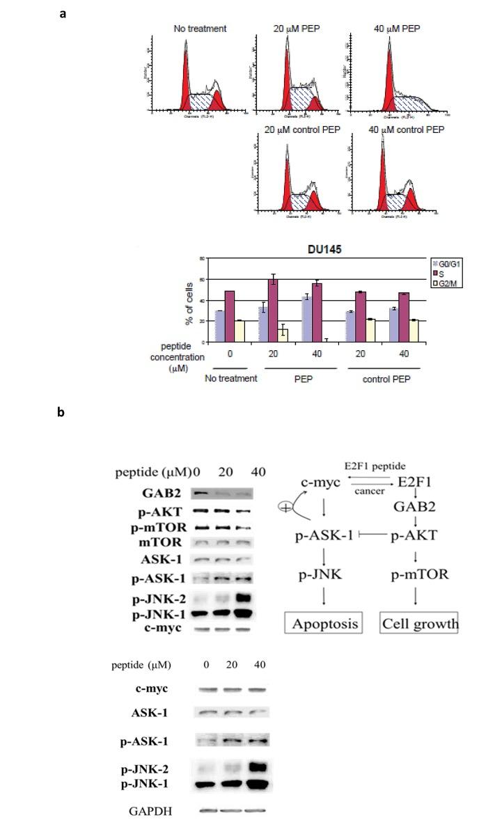 https://cdn.ncbi.nlm.nih.gov/pmc/blobs/ecf5/4011592/ff3f178f7dcb/oncotarget-05-901-g003.jpg