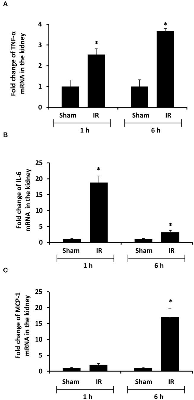 https://cdn.ncbi.nlm.nih.gov/pmc/blobs/ecf7/7280447/c6d5c33b62e5/fmed-07-00201-g0005.jpg