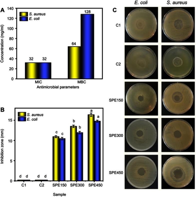 https://cdn.ncbi.nlm.nih.gov/pmc/blobs/ecf8/6522844/f2bb065c1bee/IJN-14-3439-g0008.jpg